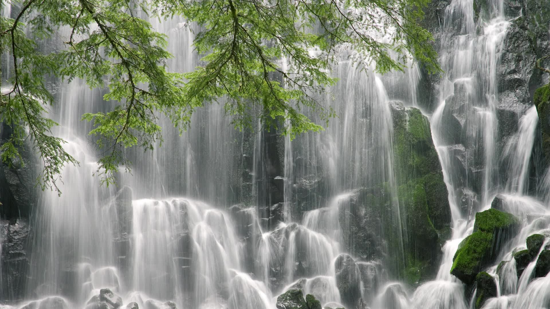 世界体能恢复公益课堂学员满意度调查出炉:好评居多,世界体能大赛
